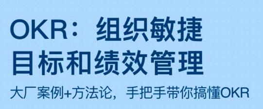 OKR《组织敏捷目标和绩效管理》带你搞懂OKR插图