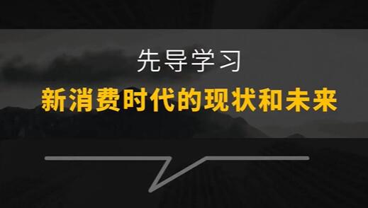 王岑3.0《新消费品牌增长方法与案例》视频课程插图