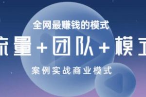 王冲《商业模式+流量系统+团队管理》培训课程视频