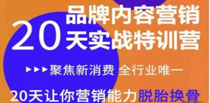 《品牌内容营销实战特训营》20天让你营销能力脱胎换骨插图